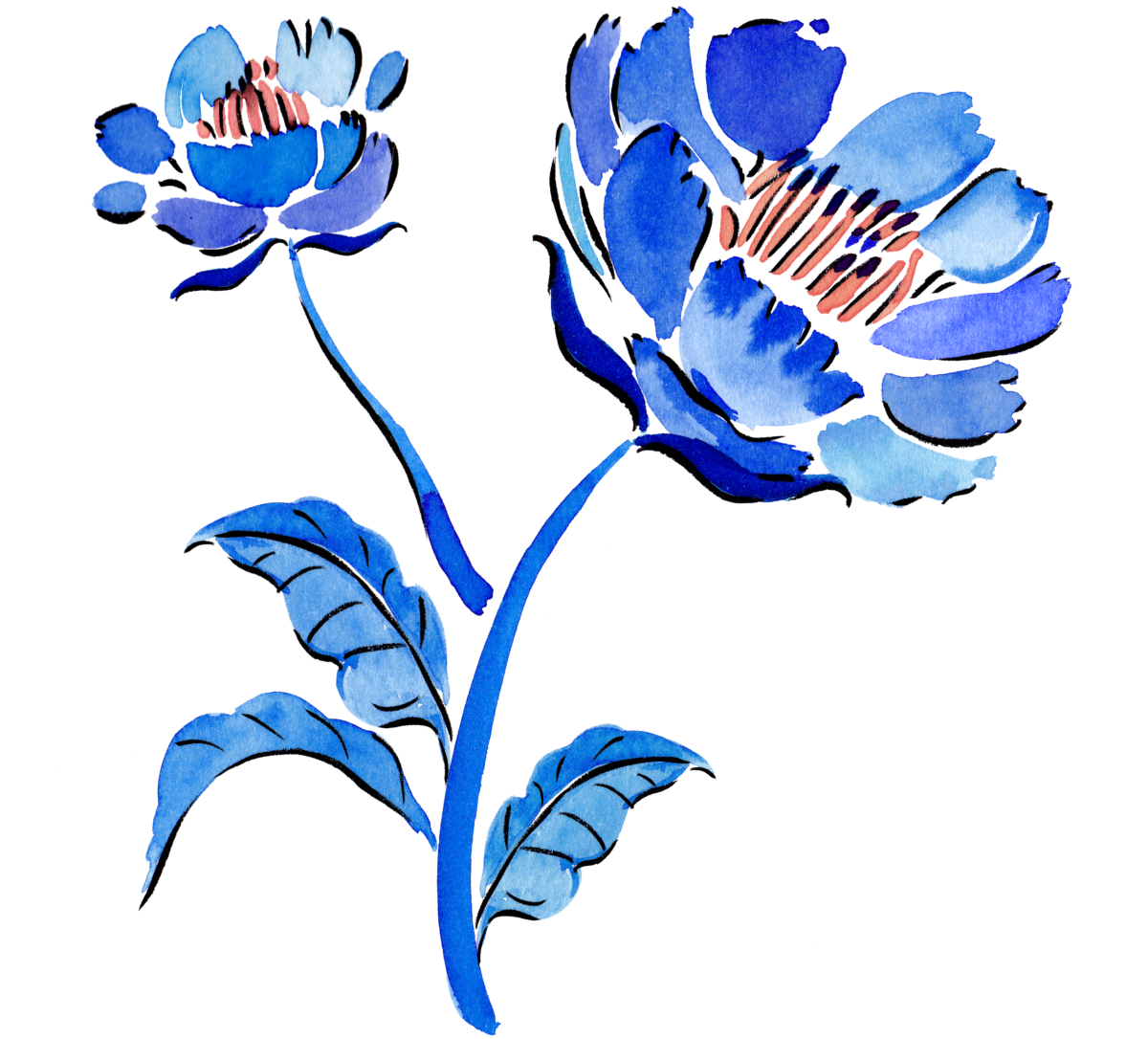 Watercolor blue flower illustration